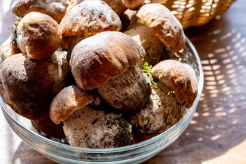 King of edible mushrooms, boletus edulis porcini cepe ready to cook in pasta or ravioli