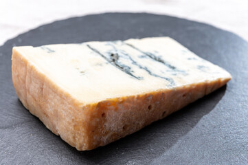 Italian food, buttery or firm blue cheese made from cow milk in Gorgonzola, Milan, Italy