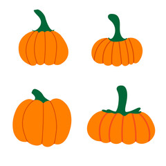Collection of pumpkins isolated on a white background .Orange, yellow, red pumpkin for Halloween and thanksgiving day design. Organic autumn vegetables. Vector flat illustration