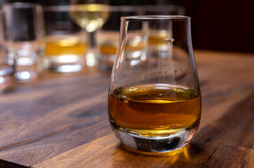 Scotch single malt or blended whisky tasting on distillery in Scotland, UK