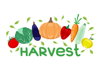 Autumn harvest of vegetables on a white background.