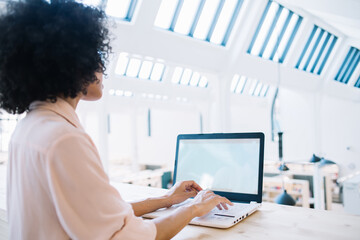 Back view of female manager using laptop computer for booking and transaction during work process...