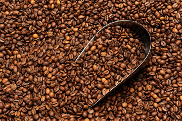 Background coffee beans. Pattern of brown roasted coffee bean beans