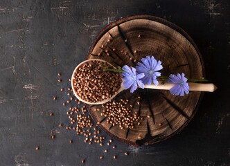 Buckwheat in a wooden spoon with chicory flowers on a wooden board on a black background with space for text. Top view