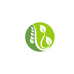 Leaf  ecology Logo Template vector