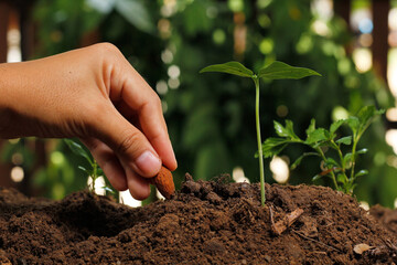 Hands of farmer growing and nurturing tree growing on fertile soil with green and yellow bokeh background / nurturing baby plant / protect nature