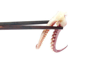 tentacles of octopus isolated on white background