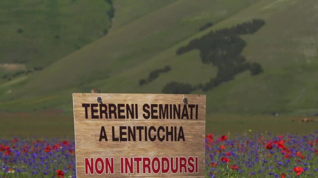 Fioritura di Castelluccio di Norcia  