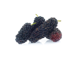mulberry isolated on the white background