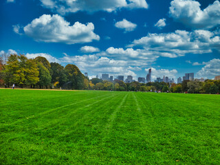 New York. Buildings in the city. New York. USA