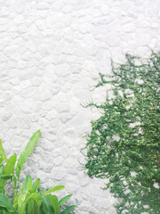 Gray brickwall background with green leaf