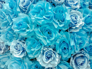 Group of Light Blue rose background