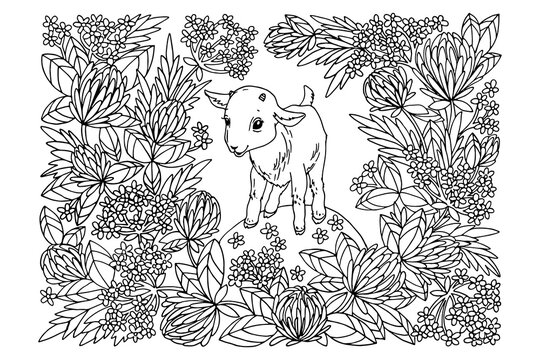 coloring book, little goat in clover colors, hand drawn, doodle, sketch, black and white, vector illustration, for children, for adults