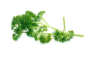 parsley isolated on white background