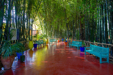 dense shade in a bamboo grove in Majorelle garden