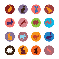 Bunny, rabbit flat icon set