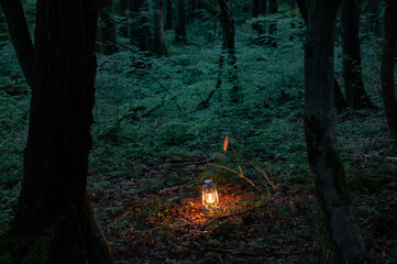 夜の森の中のランタン