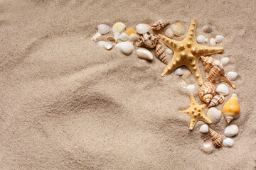Fototapeta na wymiar Summer background starfish and seashells on clean sand.