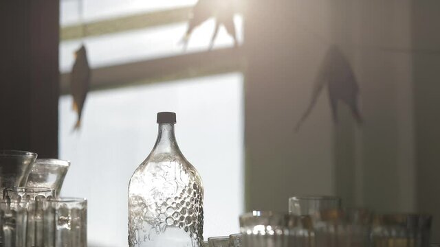Traditional Russian vodka at table. Salted fish at the market, suspended sea roach.