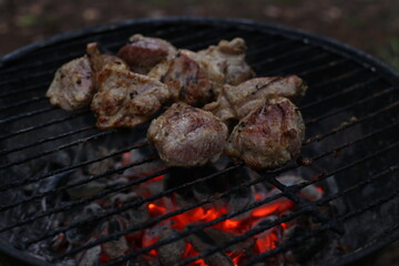grilled meat on the grill
