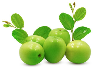 Jujube fruit isolated on white background