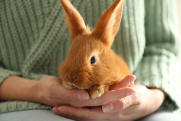 Young woman with adorable rabbit indoors, closeup. Lovely pet