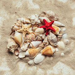 Beautiful red starfish lies on a pile of different seashells. Top view.