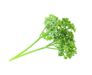 Parsley isolated on white background