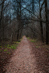 path in the autumn forest