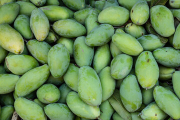 fresh mango fruit background, pile of green mangoes fruit in market. High resolution background.