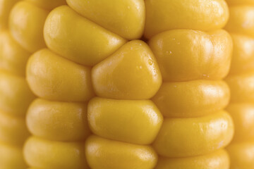 abstract textured yellow background, corn kernels close-up