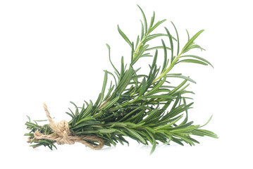 rosemary isolated on white background