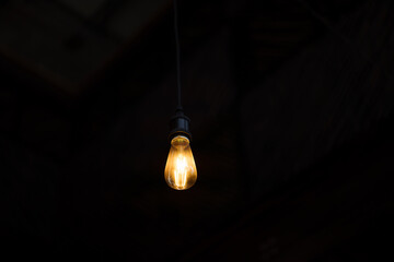 Vintage retro light bulb hanging down