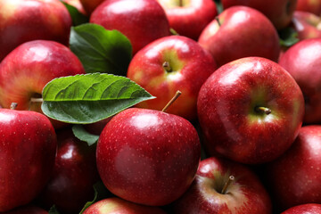 Pile of tasty red apples with leaves as background, closeup