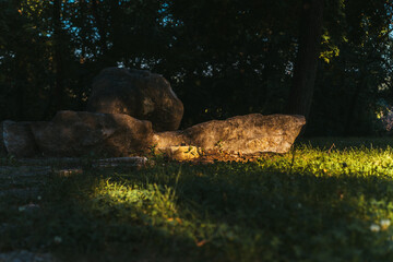 A large granite stone lying on the grass area. Beautiful summer park with tall trees, large stones and tree. Park with large stones.