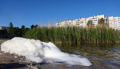 Foam on the shore of a city lake
