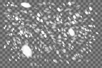 Realistic falling snowflakes. Isolated on transparent background