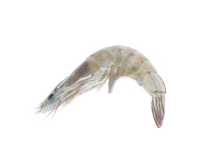 raw shrimp isolated on white