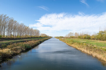 Fototapeta na wymiar Landscape of Danube Tisa Danube Canal in Vojvodina,Serbia