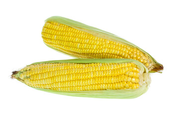 An ear of corn isolated on a white background