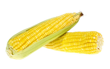 An ear of corn isolated on a white background