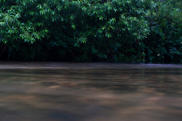 Obraz na płótnie Canvas river water and green foliage