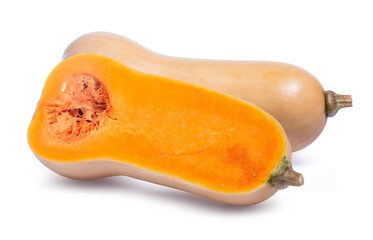 pumpkin butternut isolated on white background
