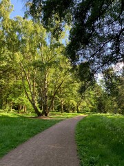 Path in the park
