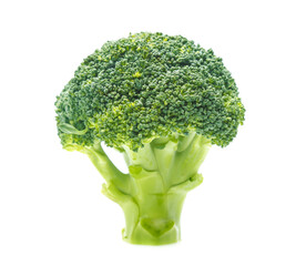 Fresh broccoli in closeup isolated on white background