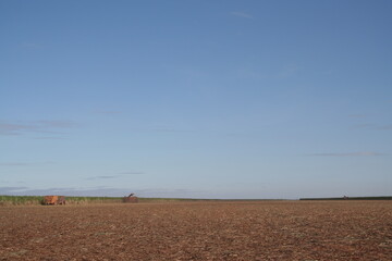 CANA DE A&Ccedil;&Uacute;CAR