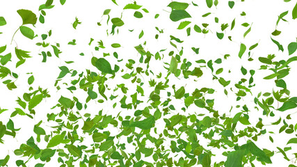 Green Flying leaves leaf 3D illustration background