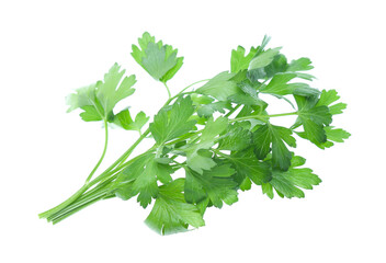 Parsley herb isolated on white background