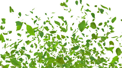 Green Flying leaves leaf 3D illustration background