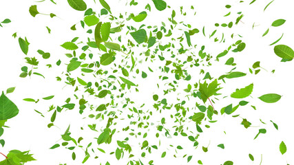 Green Flying leaves leaf 3D illustration background
